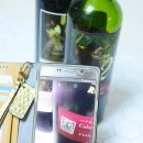 편의점 와인 2종 레드와인에 어울리는 요리와 안주
