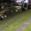 찬은글로벌 네이버블로그