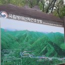 인제17-1 | 인제 방태산자연휴양림 연립동 잣나무 숙소, 비 오는 날 후기
