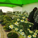 영광군농업기술센터 이미지