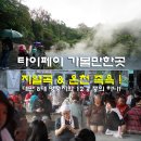 복흥장식 | 대만 타이페이 가볼만한곳 지열곡 & 푸싱공원 온천 족욕