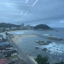 영동농협 하늘과바다사이 | [강원 양양] 하늘과 바다사이 - 동해와 인구해변을 내려다볼 수 있는 뷰 맛집 브런치 카페