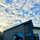 쑤기네 풀 이미지