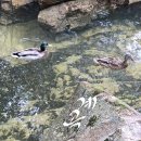 계곡&풍경 이미지
