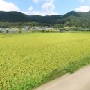 미라클농장 이미지