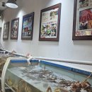 앤쿡 | 울진 죽변 대게맛집 후포항 대게앤쿡 후기