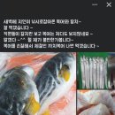 직원들이 복어요리를 기피하는이유 이미지