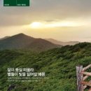 달이 떠올라 이미지