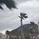 살랑제주 | 제주 살랑 :: 서귀포 산방산 독채 펜션 / 제주숙소추천 / 내돈내산