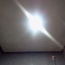 신우(아) 이미지