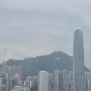 구룡산업 - 고양시 일산서구 송산로 559-16 | | 홍콩 | 구룡반도 하루 코스 (포토스팟·마켓팁 포함)