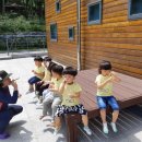 그림나라 이미지