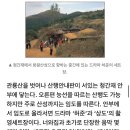 [주말산행코스] 영남의 산 - 화왕산 이미지