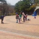 성산 코리아 태권도 이미지