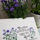 수채화 캘리그라피 이미지