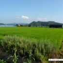 금굴농장 이미지