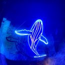 태화강동굴피아 화장실 이미지