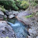 제873차(연 36차) 정기산행:지리산국립공원 천왕봉 연하선경 단풍산행[2026년 9월 27일(日) 06시] 이미지