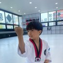 풍생태권도장 이미지