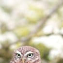 놀러와요 이미지