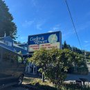 반도모텔 | 미국 시애틀 여행 가성비 숙소 추천 올림픽 공원 Curley’s Resort &amp; Dive Center 후기 및 가격 정보