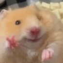 동아제약(주)서울지점 | 종로 놀거리 클라이밍 서울숲클라이밍 종로점 위치 가격 주차 난이도 후기