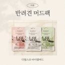반려견 스파 목욕 머드팩 디얼스코 아이엠머드 후기