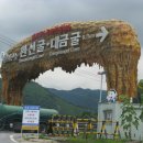 환선 이미지