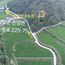 손양면사무소 이미지