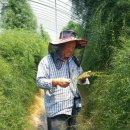 천문동 농장 이미지