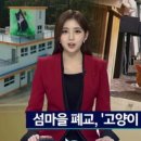 고양이회관