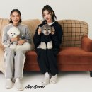 퍼피트랙 이미지