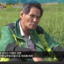 값비싼 유기농의 진실 이미지