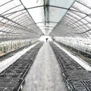 강선목장 이미지