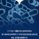 세움 이미지