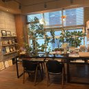 소호미술학원