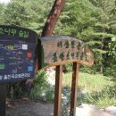 금강송계곡민박 이미지