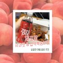 푸른아오리 | 야식 치킨 먹을 때 콜라 대신 뭐 마셔? 0kcal로 양심 챙기는 잇더핏 제로팝 사과맛 & 납작복숭아맛 찐 후기