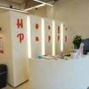 멍품 강아지분양 본점 | 수원에서 반려견 가족을 만난 날, 수원강아지분양 홍스퍼피 수원본점 방문 후기 ^^