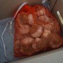 토러스농장 이미지