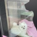 란샵3호점