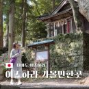 코스몰링크 | 대마도 이즈하라 당일치기 여행 코스 드럭스토어 티아라몰 쇼핑비교