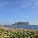 표선하타요가 | [제주] 광치기해변에서 취다선 리조트까지, 혼자라서 더 깊었던 겨울 제주 여행