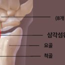 서울연세21세기의원 이미지
