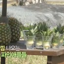 딴다PC 루리웹 뉴스보드
