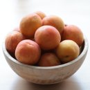 플럼코트 하모니 3일 후숙 맛 후기｜여름과일 내돈내산