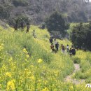 색달동-13 이미지