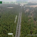 수림목장 이미지