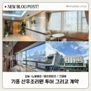 노블엘르산후조리원 | 【임신일기】 용인 신갈, 기흥 산후조리원 투어, 노블엘르산후조리원으로 계약!(오늘/크래들/알리르마리...