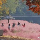 사계절화원 이미지